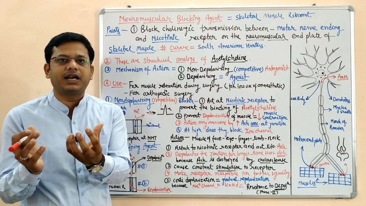 Neuromuscular Blocking Agents | Skeletal Muscle Relaxant Types and Mechanism of Action (HINDI)