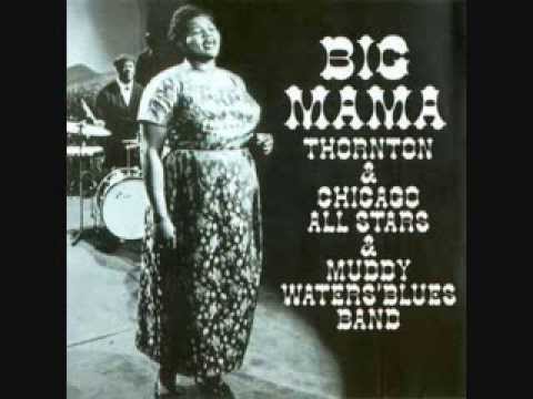 Big Mama Thornton & Chicago All Stars & Muddy Waters' Blues Band - Hound Dog