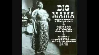 Music video thumbnail preview for Big Mama Thornton \u0026 Chicago All Stars \u0026 Muddy Waters' Blues Band - Hound Dog by The Muddy Waters Band