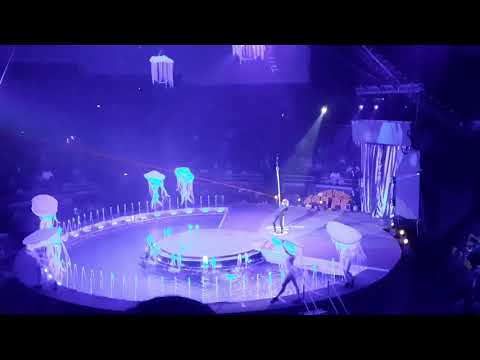 Цирк на воде. Харьков 2020. Харьковский цирк 2020 Waterland