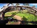 MTB Sturt Gorge