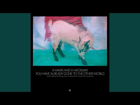 You Have Already Gone to the Other World