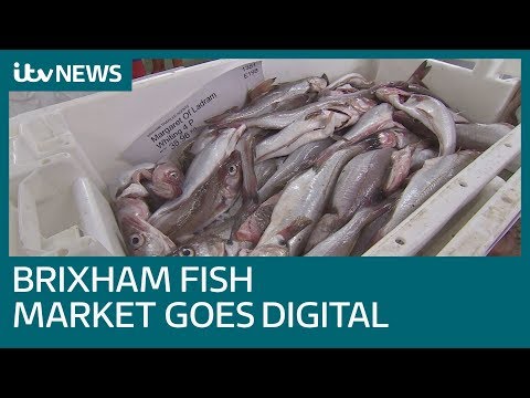 Iconic Brixham fish market 'shout' auction takes place for last time | ITV News