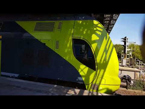 ČD(Czech)-EuroCity + DB-Wagen in Hamburg-Dammtor: EC179 Bad Schandau