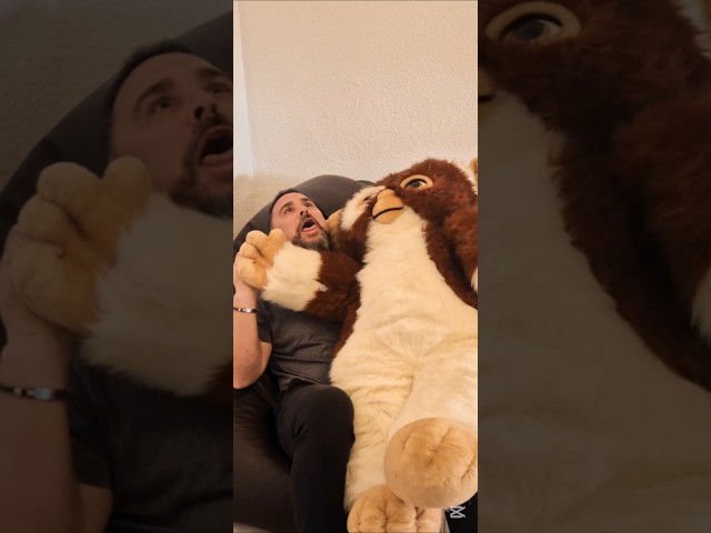 Vídeo relacionado con Rubies - Dancing Peluche Gizmo, Dibujos Animados, Multicolor, L (Gremlins 30630)