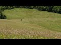Relaxing Wind Sounds Through The Grass Field 8 Hours Body Movement Free Flow