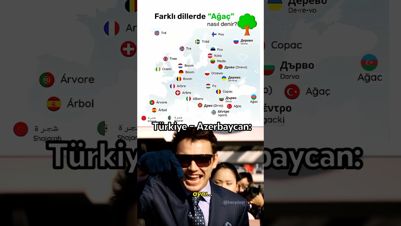 Farklı dillerde ağaç 🌲