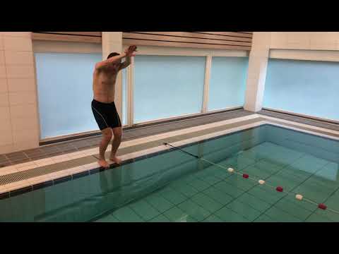 Dolfijn; 1/8 Duik en door twee hoepels zwemmen