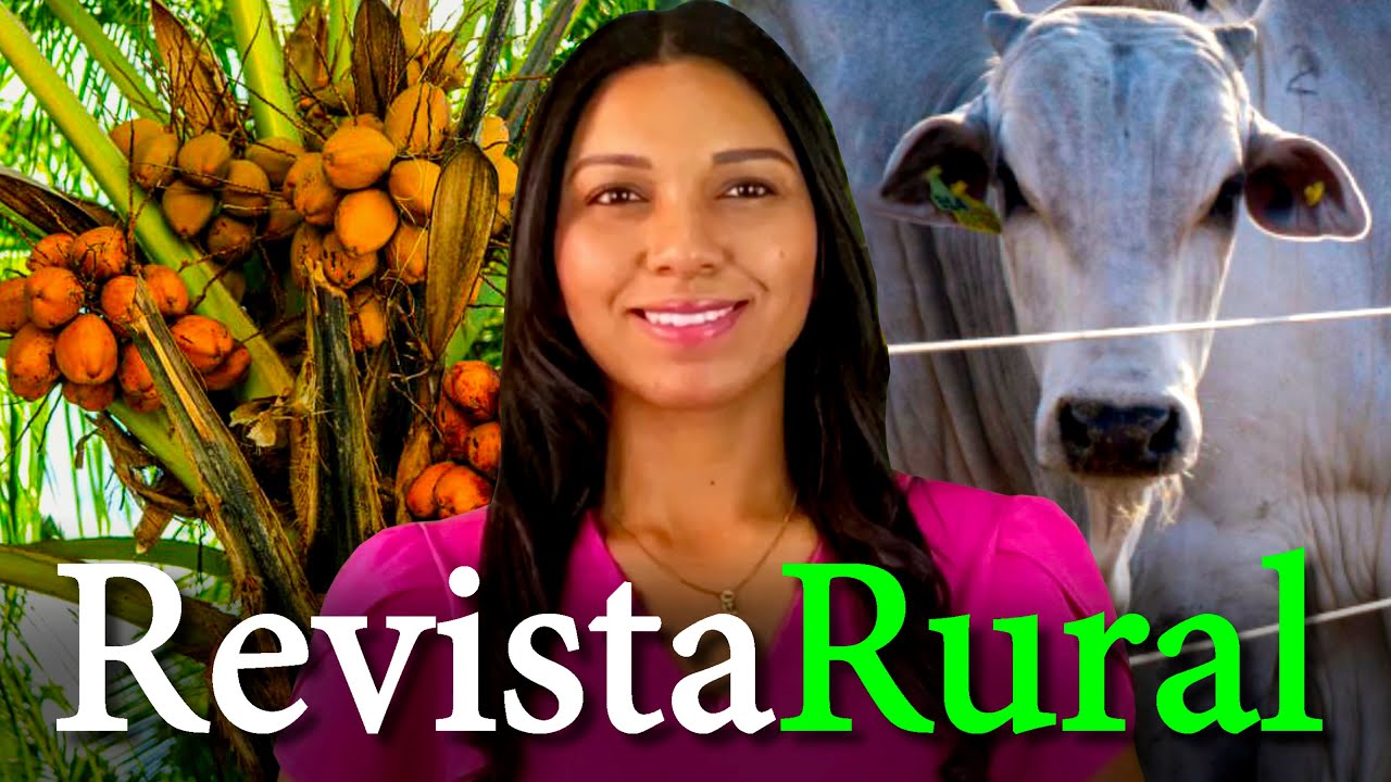 PROGRAMA REVISTA RURAL - 29/09/2024