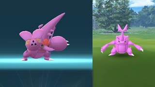 My first shiny Mega Heracross