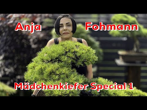 Anja Fohmann @ BonsaiKunstHamburg 2.0