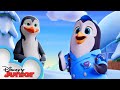 National Penguin Day with Pip! 🐧 | T.O.T.S. | Disney Junior
