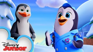 National Penguin Day with Pip! ???? | T.O.T.S. | Disney Junior