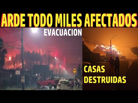 URGENTE INCENDIO LLEGA A LA CIUDAD MILES EVACUAN EN PÁNICO TOTAL EN PENCO BIO BIO