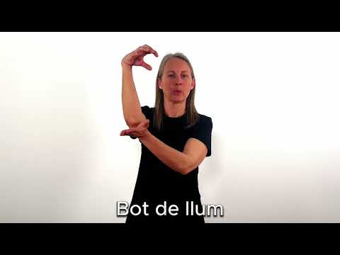 Bot de llum - LSC