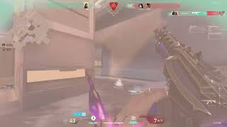 実力ゴールドだけど、ここだけ見たらイモータルっぽい1vs5クラッチクリップ【Valorant】