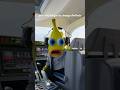Have You been on a Plane this year?🤔