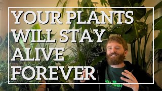 How To Grow Any Plant In Low Light