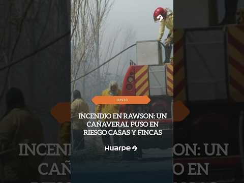 🔥 Un incendio de grandes dimensiones generó preocupación este domingo en Rawson