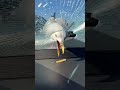 Seagull Smashes Car Window For A French Fry Seagull Viral SeagullAttack FrenchFries