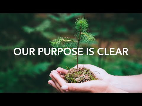 The Really Great Teacher Company - Impact