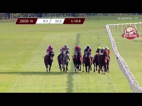 Great Warsaw - G1 POL (Cat.A) 25/09/2022 - (Day 34; Race 7)