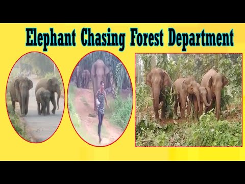 Important Days November Month 2020 | నవంబర్ నెల ముఖ్యమైన రోజులు | Vizagvision