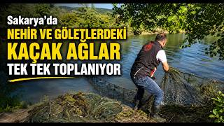 Sakarya'da Nehir ve Göletlerdeki Kaçak Ağlar Tek Tek Toplanıyor