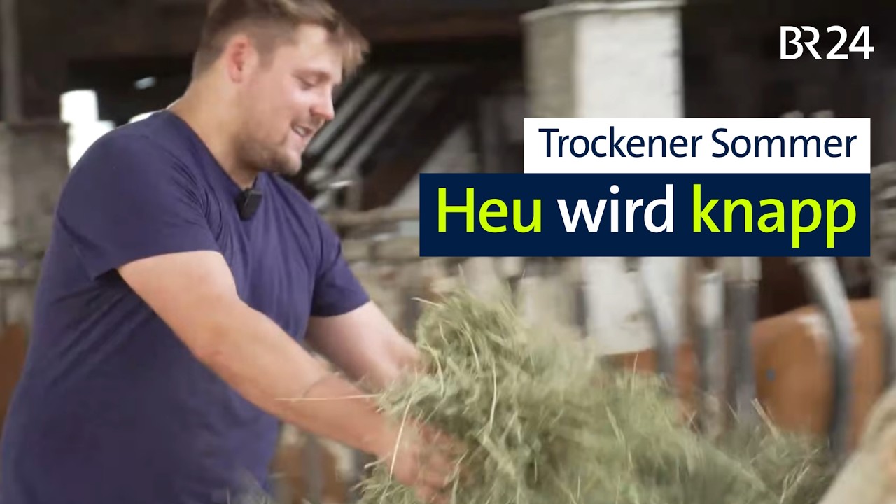 Heu wird knapp: Wie Bauern um den Wintervorrat kämpfen | Abendschau | BR24