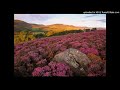 Steve Mcdonald - Wild Mountain Thyme