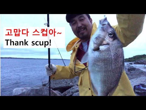 Scup fishing at Fort Adams State Park, Newport, RI (7/4, 2021)