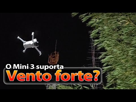 Can the DJI Mini 3 withstand strong winds?