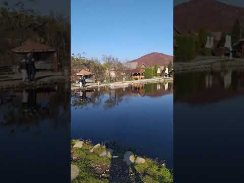 Câmpul Cetății, lacuri de pescuit 🎣 hobby, judetul Mureș