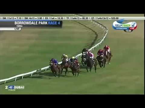 2016.07.31 Breeders Fillies Mile (ZIM) - Golden Mystery