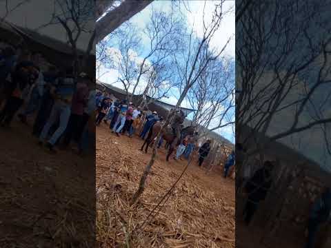 Vaquejada de Pé de Porteira