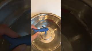Watching this dolphin toy grow!