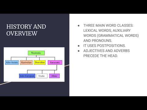 CONLANG SHOWCASE 03: AFRO-EURASIATIC CONLANG BASED ON NOSTRATIC #art #linguistics #conlang