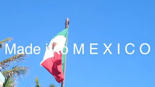 Exclusive Patreon Content: New Video, Carnival Cruise, Mexico, 2022 Vlog