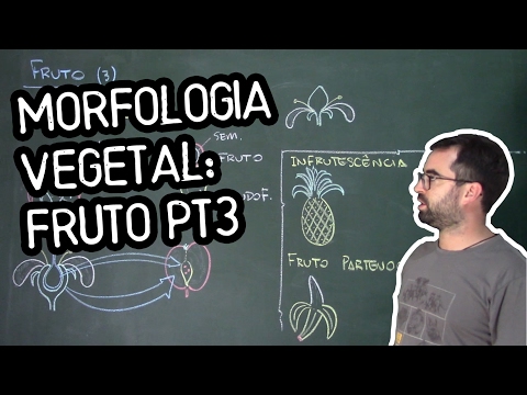 Fruit Organology (Morphology) pt3 - Class 22: Botany (Prof. Guilherme)