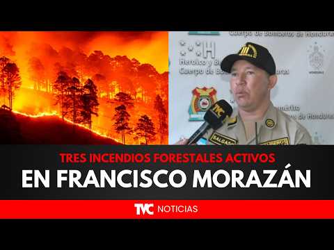 Tres incendios forestales activos en Francisco Morazán