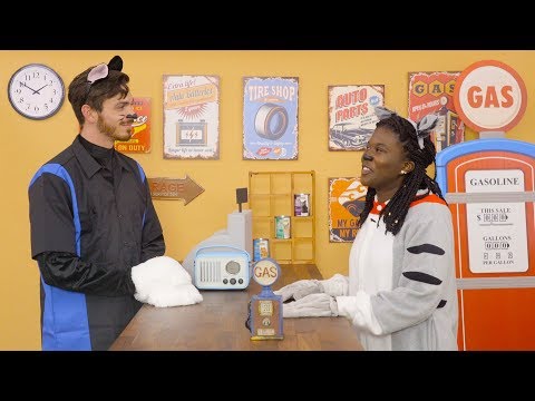 Canidae All Life Stages Cat Food | Chewy