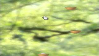 The Amazing Dare-Dozen for web browsers