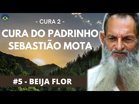 Hino  #5 - Beija Flor - (Gravação Oficial ) ❤️ Cura 2 ❤️