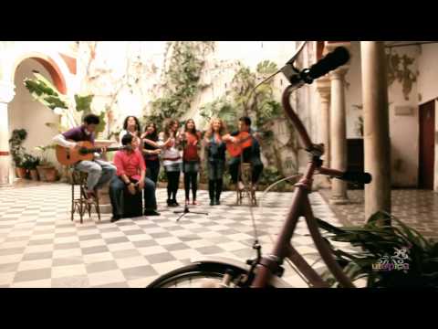 Soniquete: chocolate HD