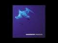 Shearwater - "Whipping Boy"