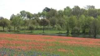 Everything is Yours - Audrey Assad - Lyrics