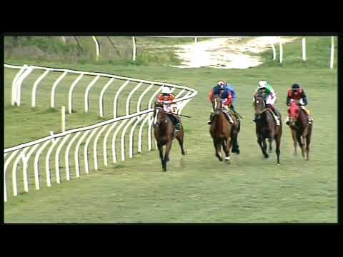 Galoppo 18/02/2020 - 2ª corsa