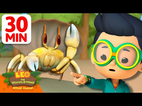 Witness21 Editor  2025 05 10