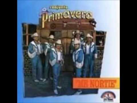Conjunto Primavera Disco completo Me nortie 1993