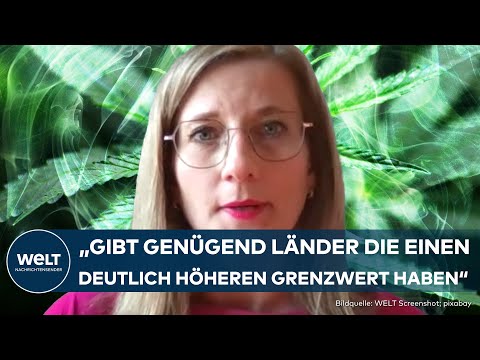 DEUTSCHLAND: Kiffen am Steuer! Drogenpolitische Sprecherin der FDP rechtfertigt den neuen Grenzwert